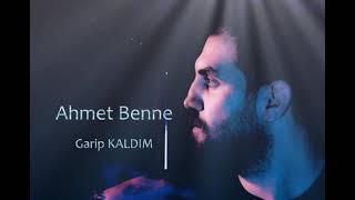 Ahmet BENNE - Garip Kaldım #COVER #Alibenne #Ahmetbenne Resimi