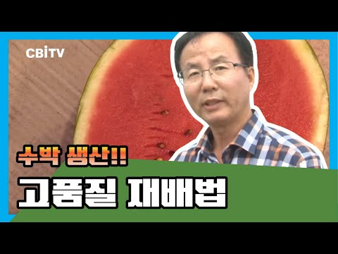 고품질 수박 생산을 위한 재배법