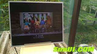 Lcd Display Panel Tft Lcd Screen Lcd Display Module Oled Display Module