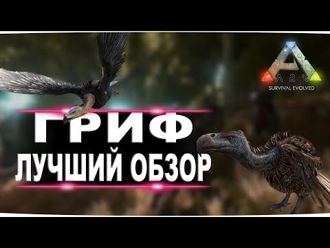 Видео: Vulture is Описание, снимка