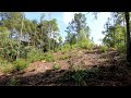 Native American Mound Discovered In The Woods Of Georgia (Early Georgia History!)