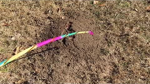 Anthill Vs FIreworks