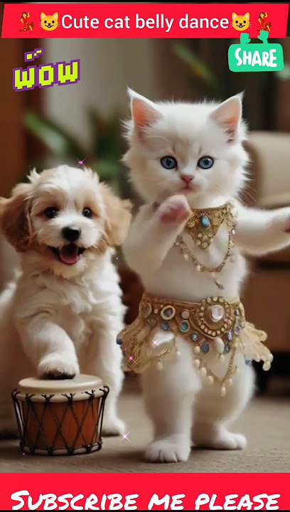 cute cat dancing😺💃 #cat #cats #catdance #shorts #shortsfeed #catvideos #dancingcat #funny#realfools
