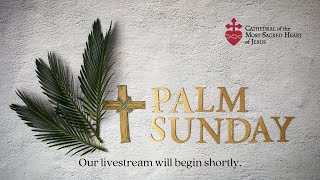 9:00 am - Sunday Catholic Mass - Palm Sunday - March 24, 2024