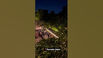 Forresta Jaipur 🪩🕺 #shorts #youtubeshorts #club #viral