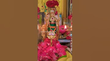 முருகன் மீது நம்பிக்கை வையுங்கள் 🪷✨ உங்கள் குடும்பத்திற்கு முருகன் பொறுப்பு #முருகன் #muruganstatus