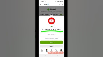 SEED Verify Code | #20 What is Rug Pull? | SEED