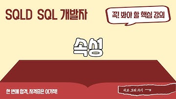 [SQLD SQL 개발자 이론+기출문제] 속성