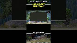 Dev Fix #5 WSL apt geht nicht? sudo hat deinen Proxy geklaut