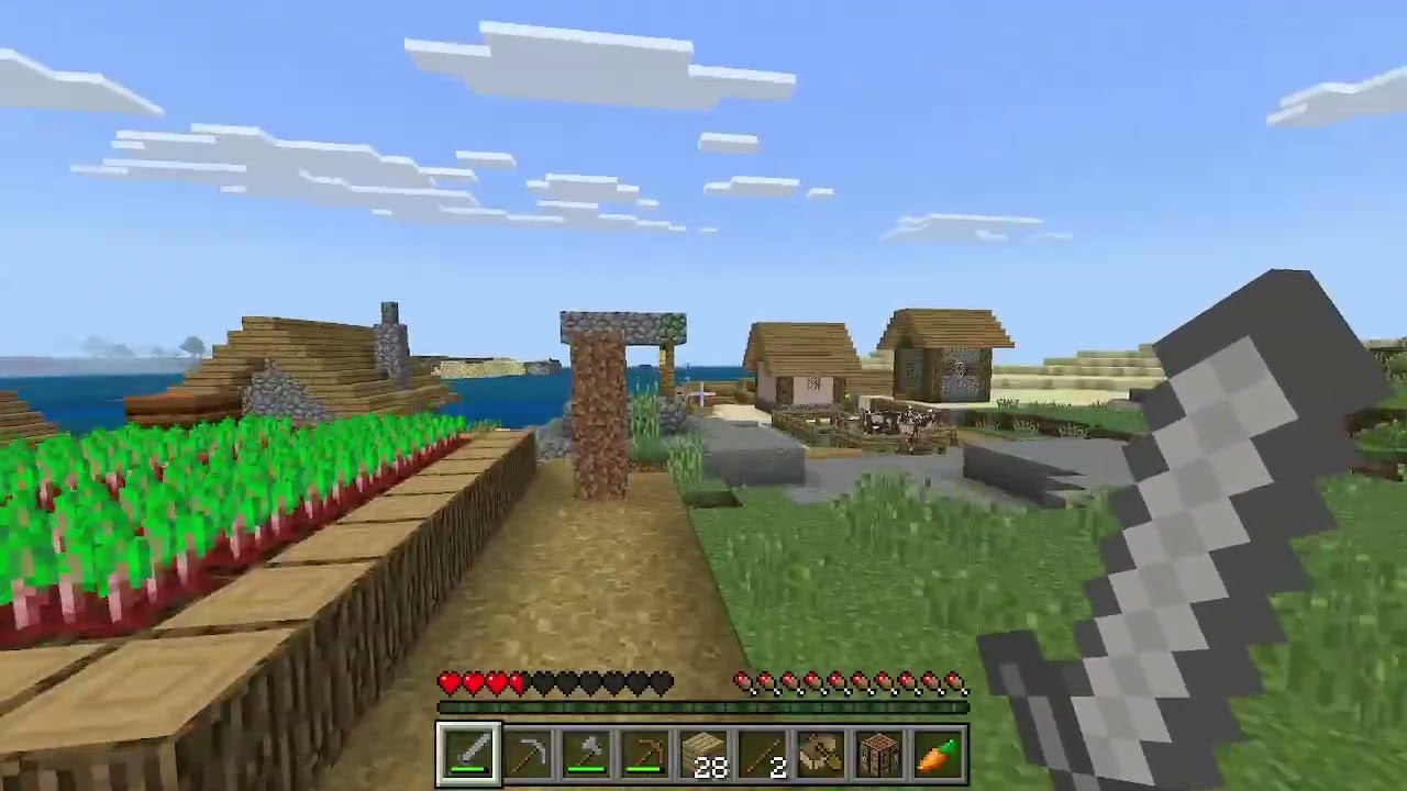 Minecraft Video