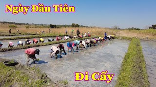 Linh Philip Ngày Đầu Tiên Đi Cấy Của Người Dân 2 Bản Trong Việt Phi Farm 