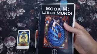 Tabula Mundi Tarot Pt 3 Minor Arcana: Wands + Cups