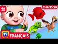 Chanson Bébé va à la pêche (Baby Goes Fishing Song) - ChuChu TV Chansons Collection