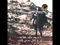 كليب بن ربيعة التغلبي الوائلي كليب بن ربيعة التغلبي الوائلي