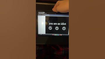 Youareanidiot (2023)