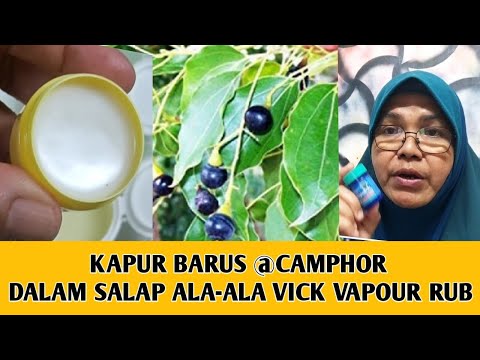 Video: Cara Memohon Vicks VapoRub: 8 Langkah (dengan Gambar)