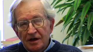 The Price of Pleasure —  Noam Chomsky on Pornography