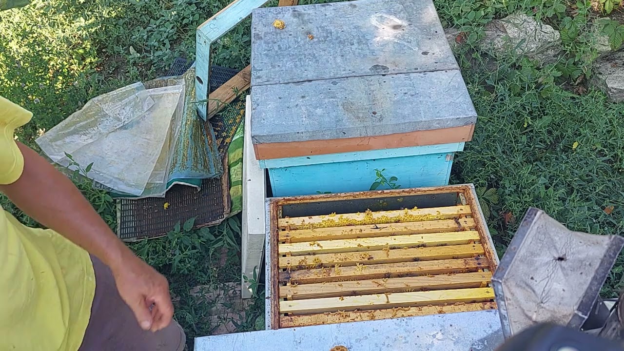 tratamente ,verificare mancare ,inversam corpurile