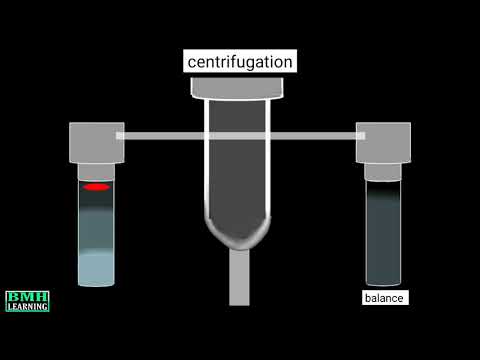 Vidéo: Différence Entre La Centrifugation Zonale Et Isopycnique