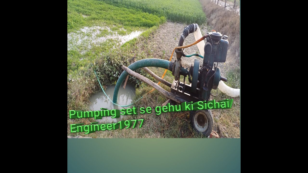 Pumping set Nalkup Boring se Gehu ke Sichai,पम्पिग सेट से गेहूं की सिंचाई 