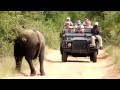 Abercrombie  kent luxury travel kruger park safari experience south africa