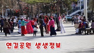 연길공원 생생정보 춤꾼 구경꾼 인산인해 중국 연변 中国延边延吉公园