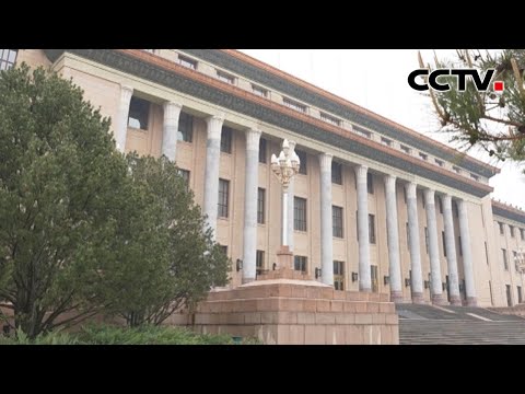 习近平会见马英九一行 | CCTV