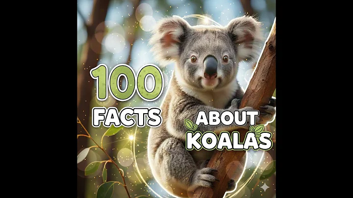 THE INCREDIBLE KOALA: 100 AUSTRALIAN SECRETS REVEALED!