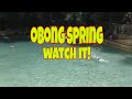 Exploring obong spring at dalaguete cebu