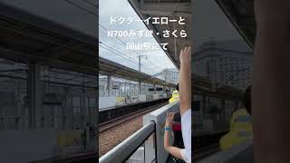 【JR西日本・岡山駅】ドクターイエローとN700みずほ・さくら【新幹線】シンカリオン