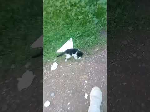 تحية الأخت اللي قالت ليا دخليه راني ما لقيتش ليه الجهد 0649095261