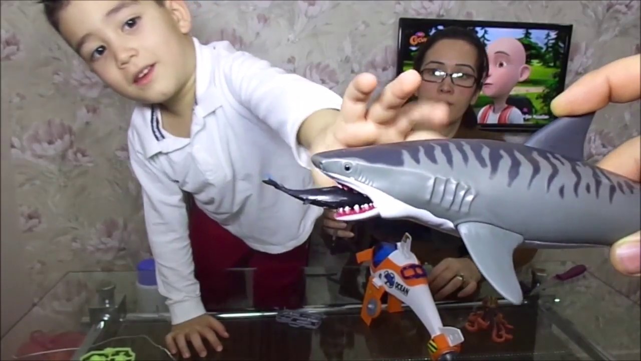 Kopek Baligi Ve Dalgic Oyuncak Seti Aciyoruz Shark Toy Youtube