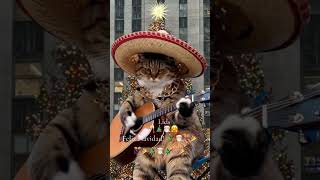 Feliz Navidad josefeliciano feliznavidad  short happyholidays a