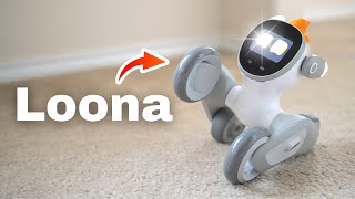 I adopted an AI Pet!  Loona Robot