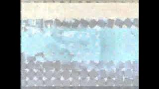 javajive.wmv. sisa semalam