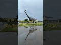 Exploring around Royal Tyrell Museum. Drumheller Alberta