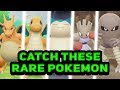 How To CATCH Dragonite, Charizard And MORE Rare Pokémon In The Wild In Let's Go Pikachu / Eevee!