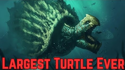 Prehistoric Turtles Used To Be Terrifying…