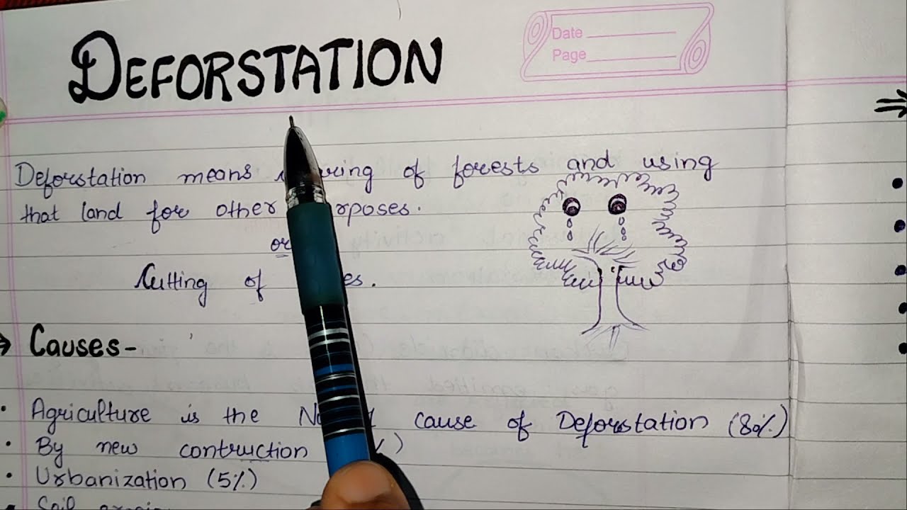 Deforestation Causes and Solutions