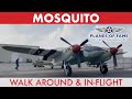 De havilland mosquito      inflight  walk around     planes of fame