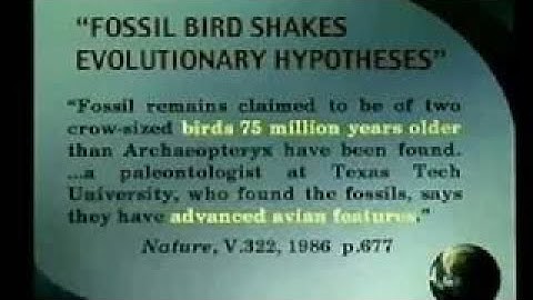 The Fossil Record Dr. Don Patton
