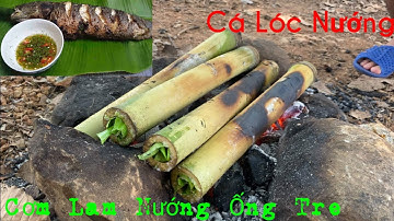 THỬ NẤU CƠM LAM BẰNG ỐNG NỨA  #cá lóc thác nướng trui ....... và cái kết  | Trailer PHDTroll