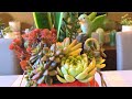 Succulent Arrangement in Tin Container