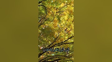سورة الرعد و،.كا؛.نك تسمعها لأ؛،و.ل مر.ة🌸🏵️؛،💓❤️؛❣️💙💛بصوت الشيخ حمزة مدبو.ح 🌸..💮❤️؛،🧡🌺،.💓❣️