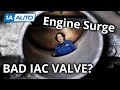 Car Engine Revving Up and Down? How to Diagnose Engine Surge!