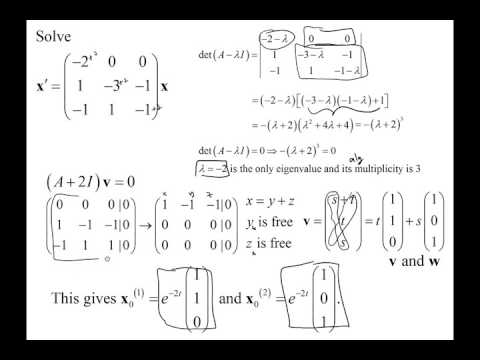 строение древесины методические указания к