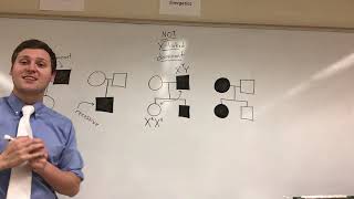 (AP Biology) Pedigree Tricks