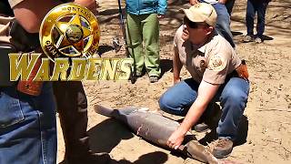 Wardens: Operation Paddlefish | FD Real Show by FD Real 203,209 views 3 months ago 44 minutes