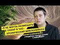 Хронической миелолейкоз // Мария Самсоненко