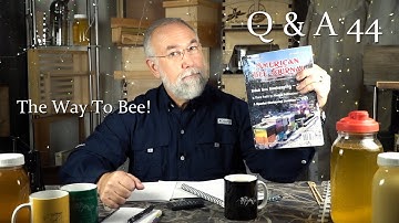 Beginner Beekeeping Q and A Tech Pollinator Drones to Moving Hives